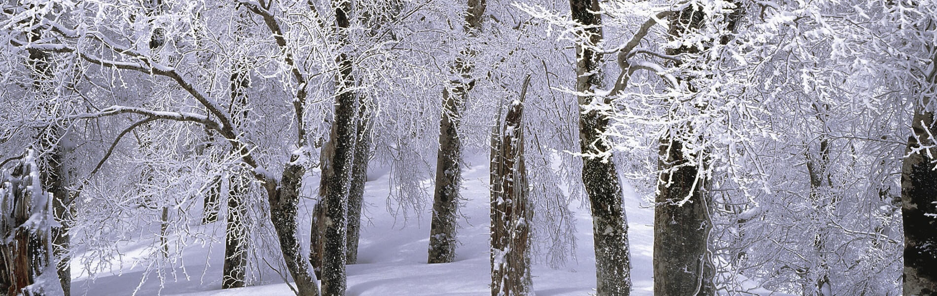 Dinsdag kwam een einde aan een uitzonderlijk lange droge periode