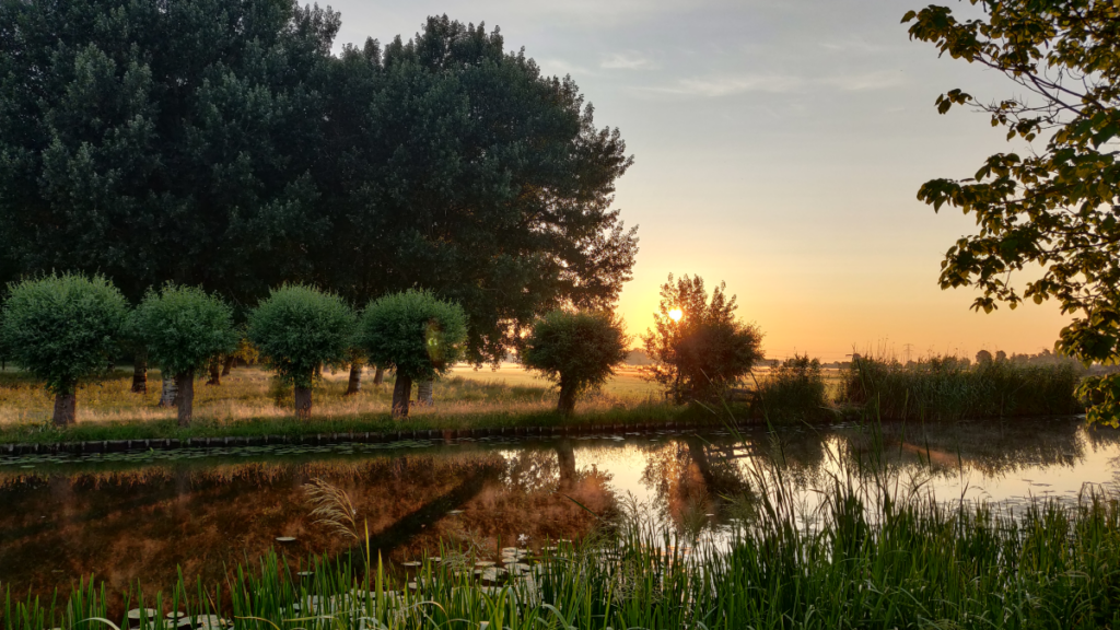 De astronomische zomer begint op 21 juni, woensdag zon en 21 tot 29 graden