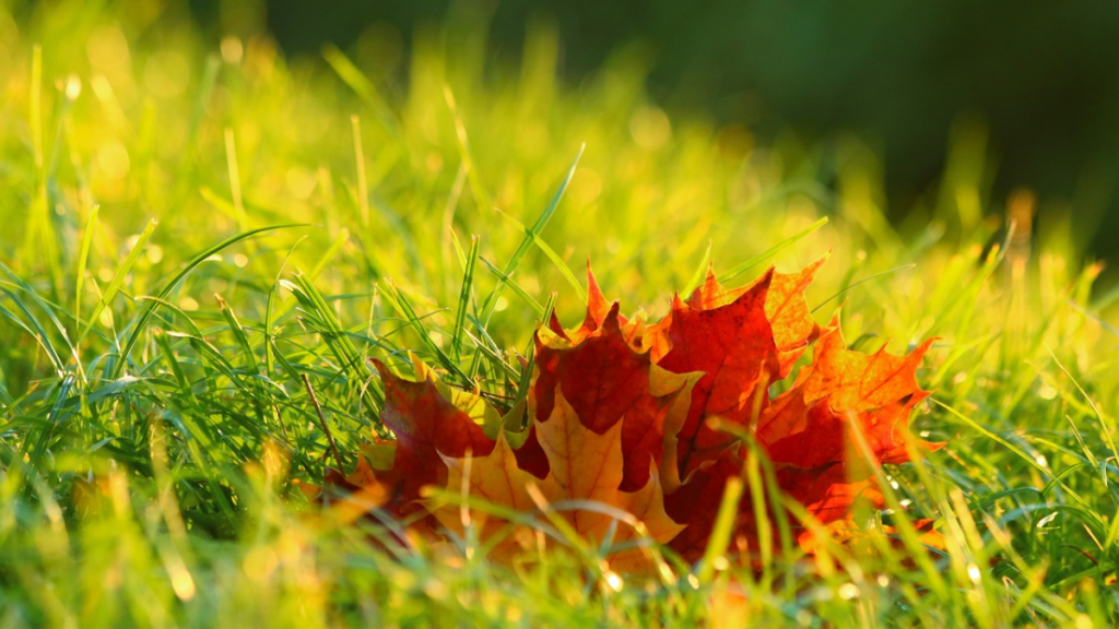 Meteorologische herfst begint met warm nazomerweer