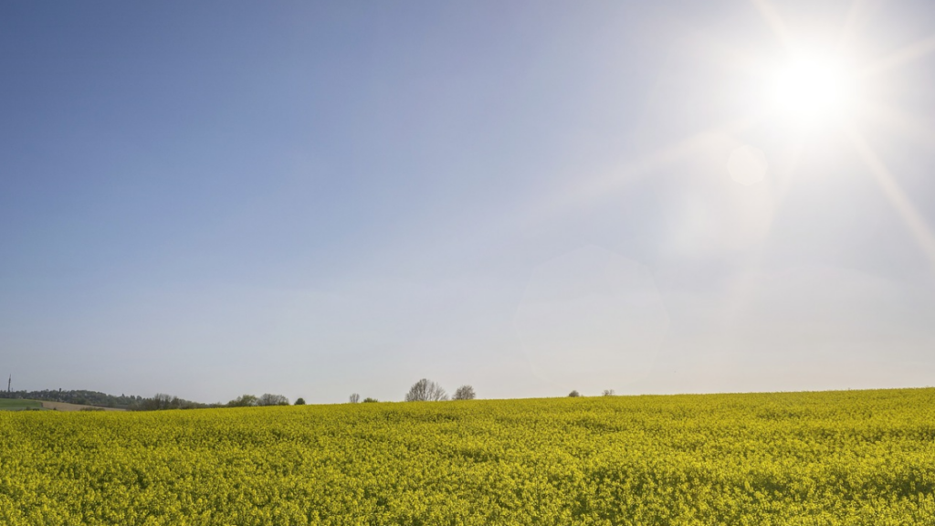 Eerste officiële zomerse dag van 2024 is een zekerheid