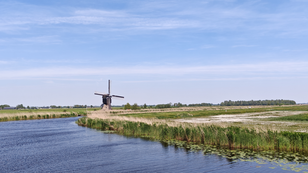 Groeizaam en vrij warm Pinksterweekend met enkele (onweers)buien