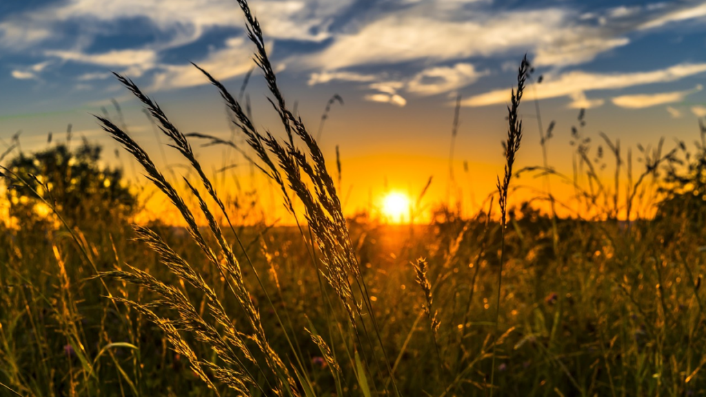 Astronomische zomer begint donderdag, na het weekeinde eindelijk volop zon en zomerse warmte