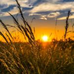 Astronomische zomer begint donderdag, na het weekeinde eindelijk volop zon en zomerse warmte