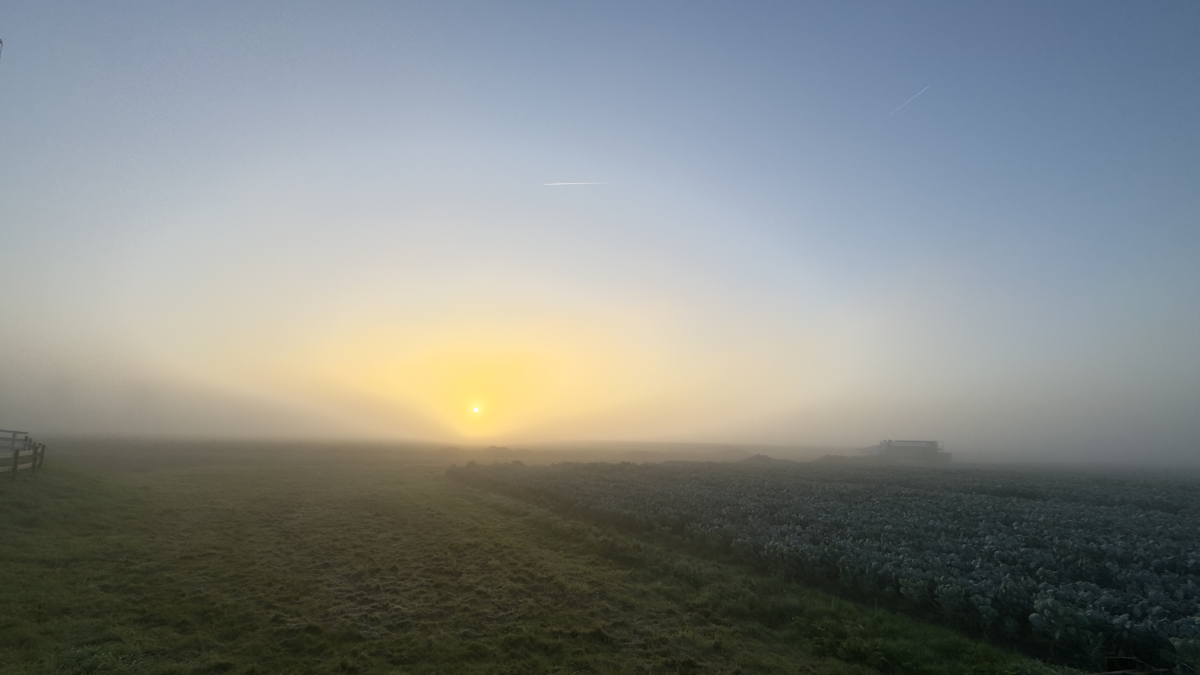 Eerste lokale vorstdag herfst 2024 is een feit