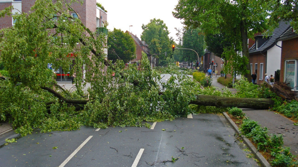 Woensdag vanaf de avond storm, vooral in het noord(west)en zeer zware windstoten vanwege Conall