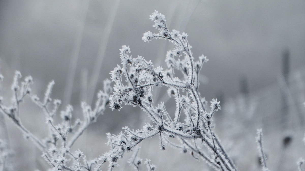 Eerste lokale matige vorst gemeten van deze winter