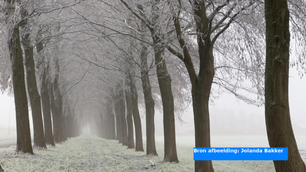 Eerste officiële ijsdag van deze winter is een feit