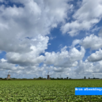De meteorologische zomer begint zondag met Hollands weerbeeld