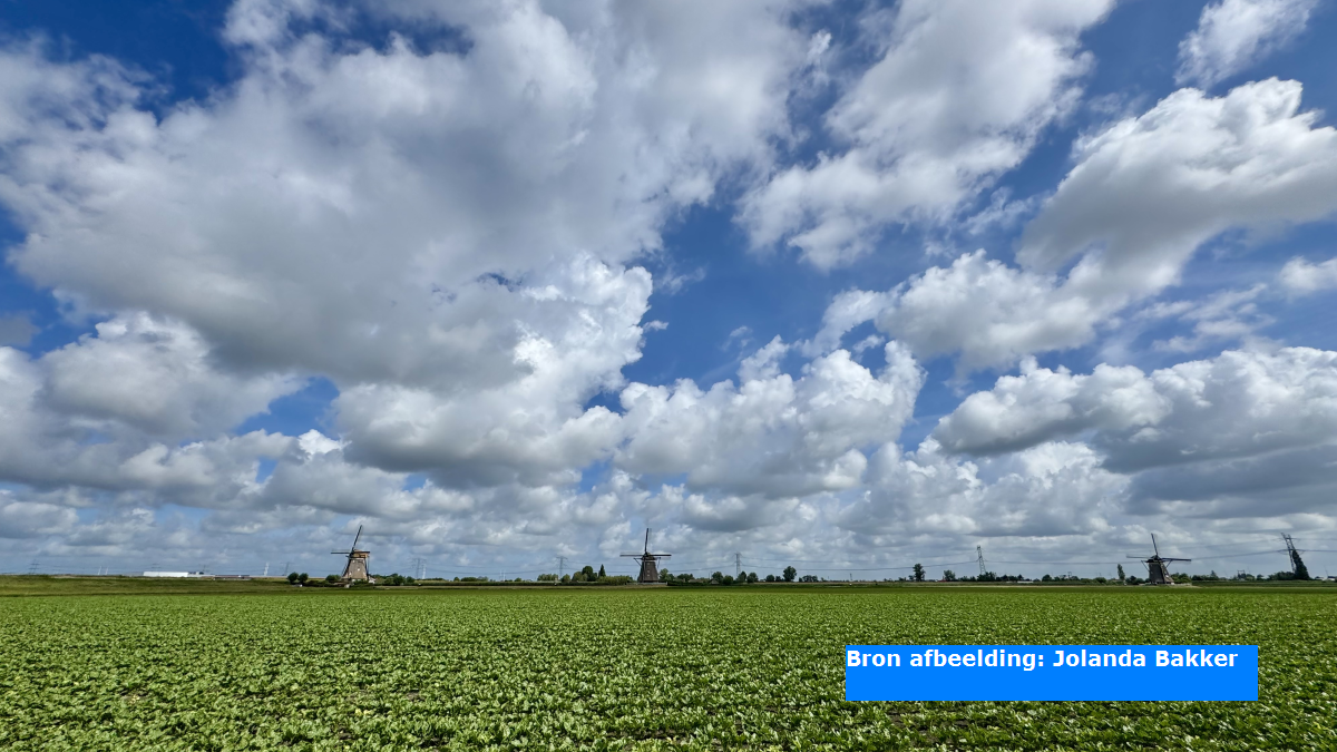 De meteorologische zomer begint zondag met Hollands weerbeeld