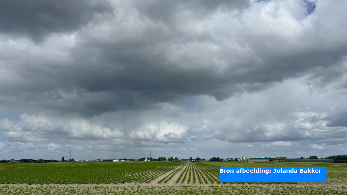 Weersverwachting Hemelvaartsdag: het wordt grotendeels somber met af en toe regen