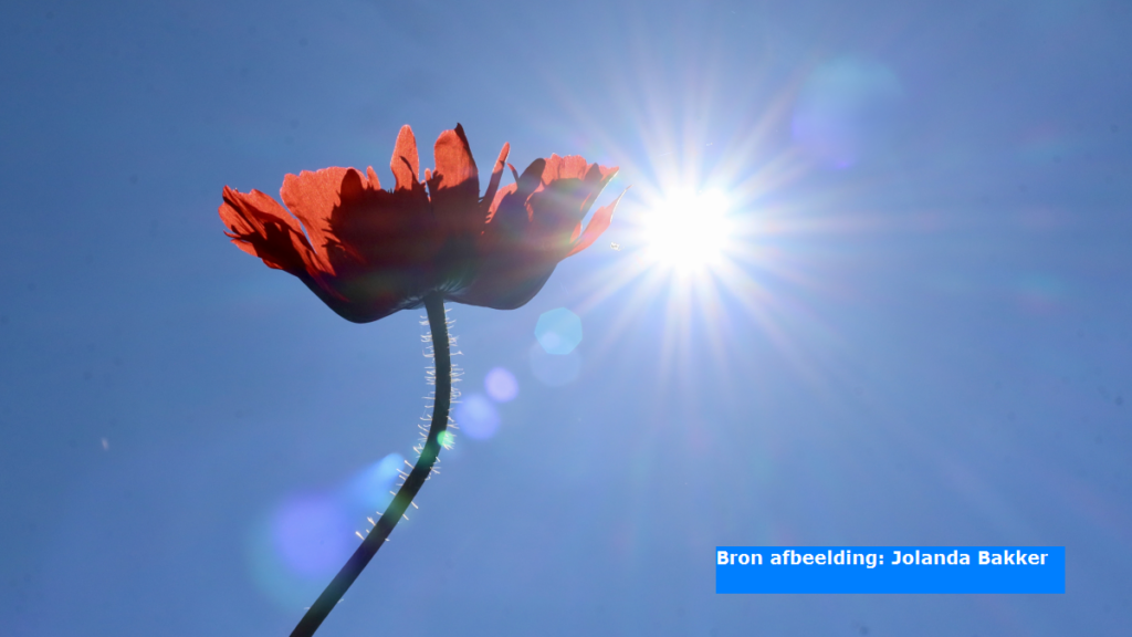 Ook in De Bilt 30 graden gemeten, eerste officiële tropische dag van 2025 is een feit