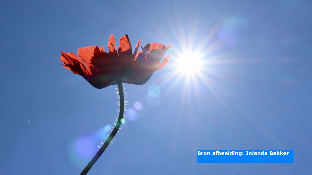 Ook in De Bilt 30 graden gemeten, eerste officiële tropische dag van 2025 is een feit