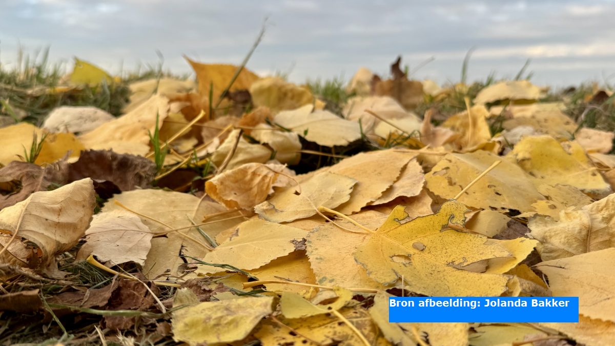 Septembermaand én meteorologische herfst maandag warm van start, maar ook een bui