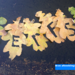Astronomische herfst begint maandag, weersverbetering in aantocht later deze week