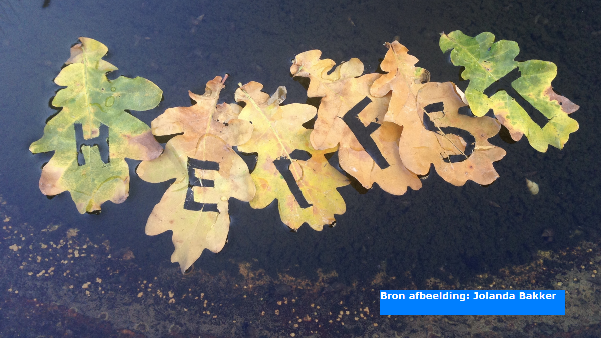 Astronomische herfst begint maandag, weersverbetering in aantocht later deze week