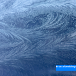 Eerste lokale matige vorst van dit najaar gemeten op 21 november in Eelde en Twente