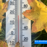 Temperaturen gemeten tot 19 graden, officieel warmste 5 november ooit