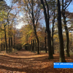 Temperatuur De Bilt zaterdag niet boven 10 graden, recordreeks van 243 dagen op rij teneinde
