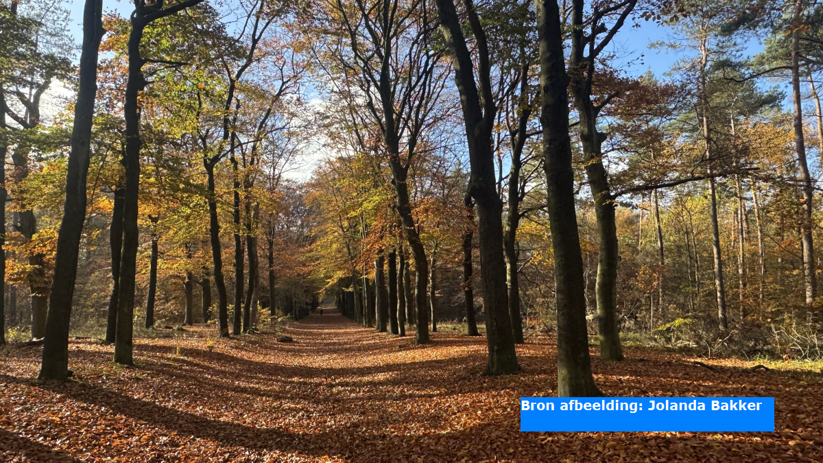 Temperatuur De Bilt zaterdag niet boven 10 graden, recordreeks van 243 dagen op rij teneinde