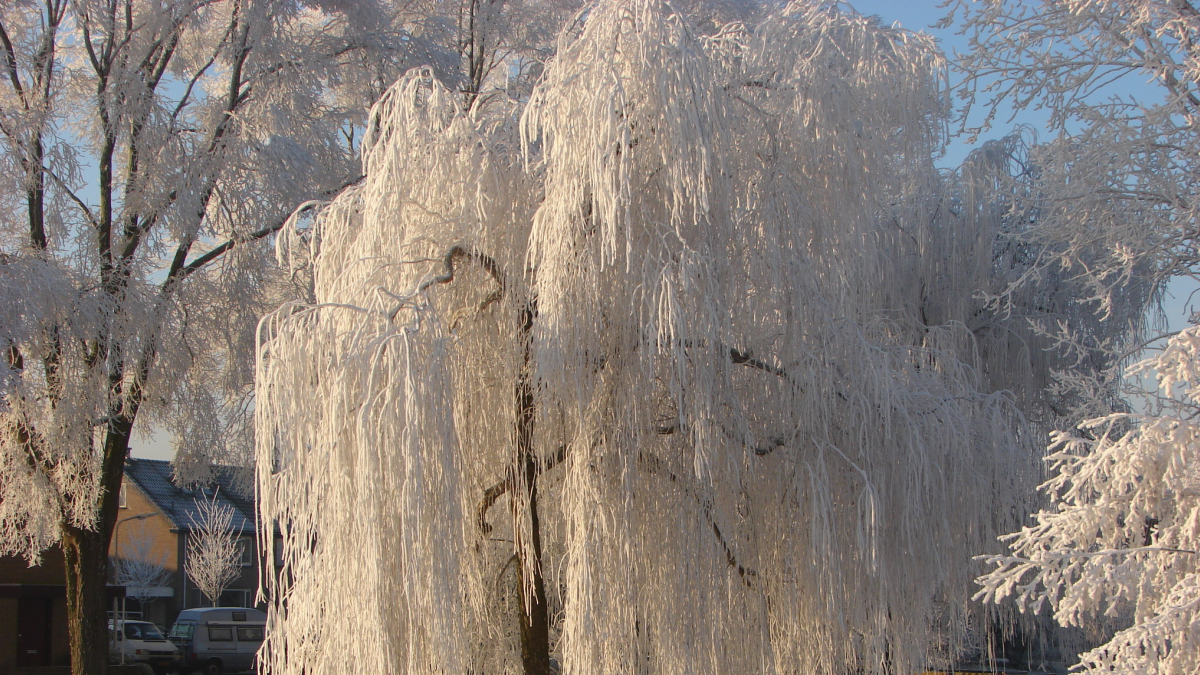 Astronomische winter begint mild, temperatuur stijgt zondag naar 8 tot 13 graden