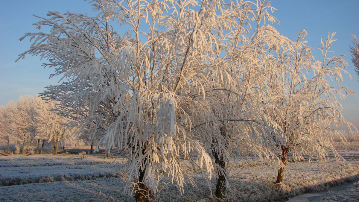 Eerste officiële matige vorst van deze winter gemeten op tweede kerstdag