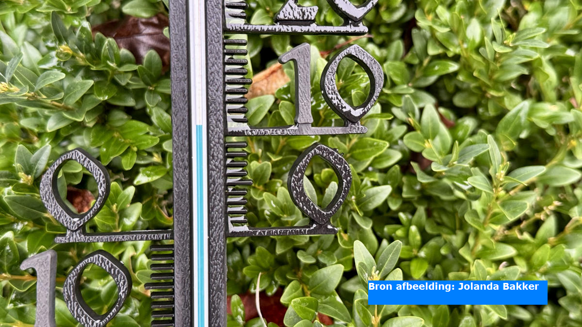 Het is officieel de warmste 7 december ooit, temperaturen gemeten tot lokaal 15 graden