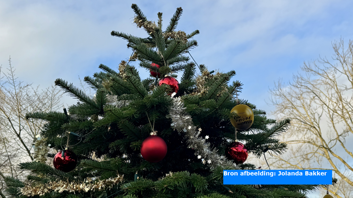 Kerstvakantie zacht van start, winterse temperaturen richting de feestdagen