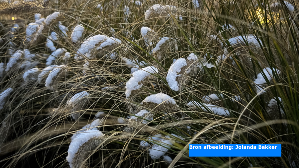 Meteorologische winter maandag begonnen, van terugkeer winterse weertype voorlopig geen sprake