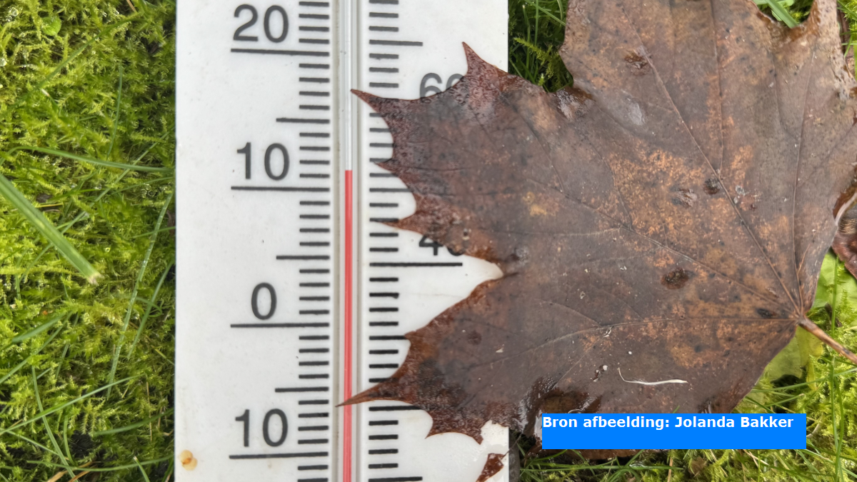 Opnieuw een warmterecord: het is officieel de warmste 9 december ooit gemeten