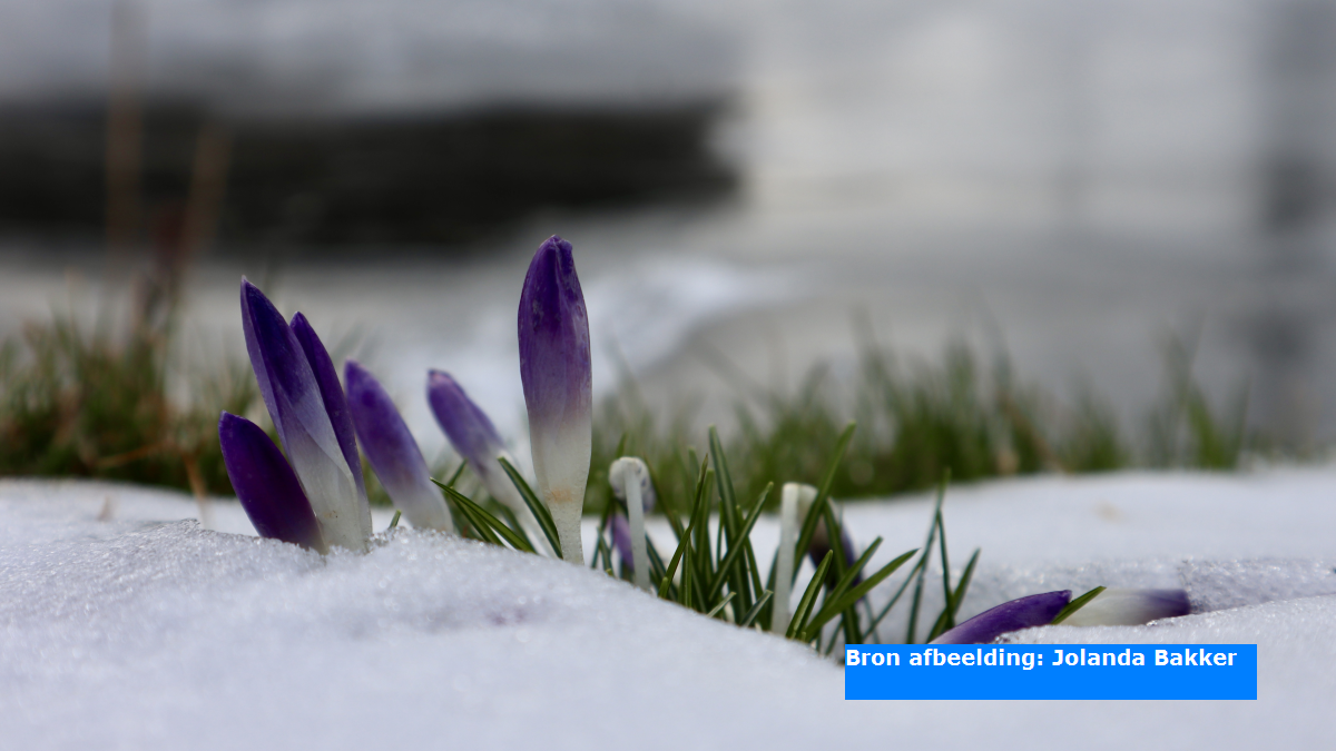 Voorjaarsvakantie koud van start, vanaf zondagmiddag kans op sneeuw