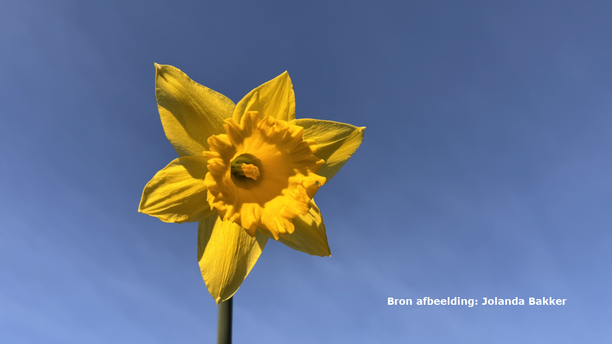 Het is officieel de warmste 2 maart ooit, meer dan 16,0 graden in De Bilt