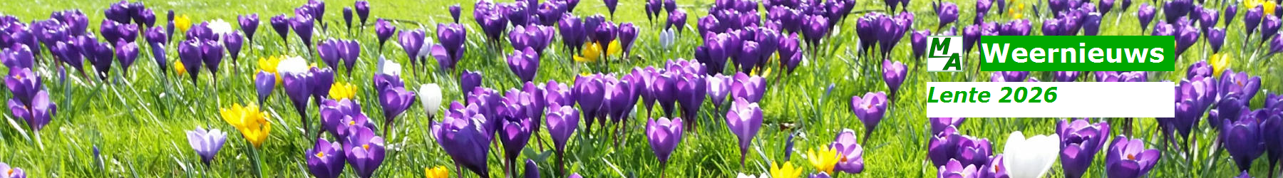 Meteo Alblasserdam header banner lente 2026