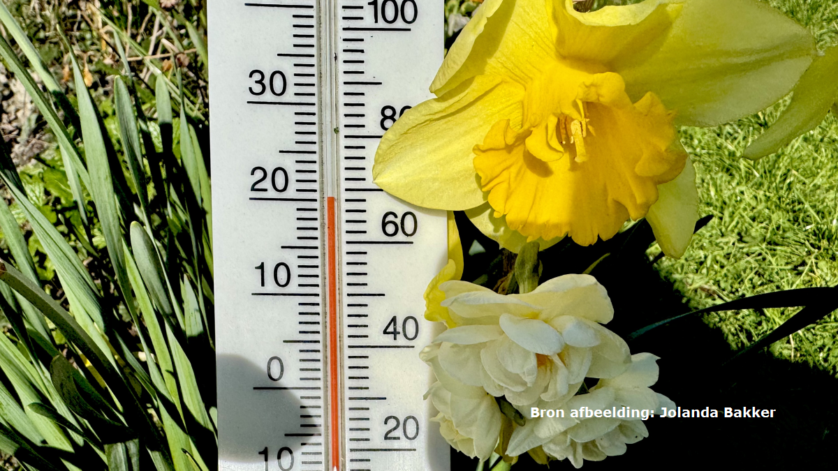 Temperatuur voor het eerst dit jaar door 20-gradengrens, eerste lokale warme dag een feit
