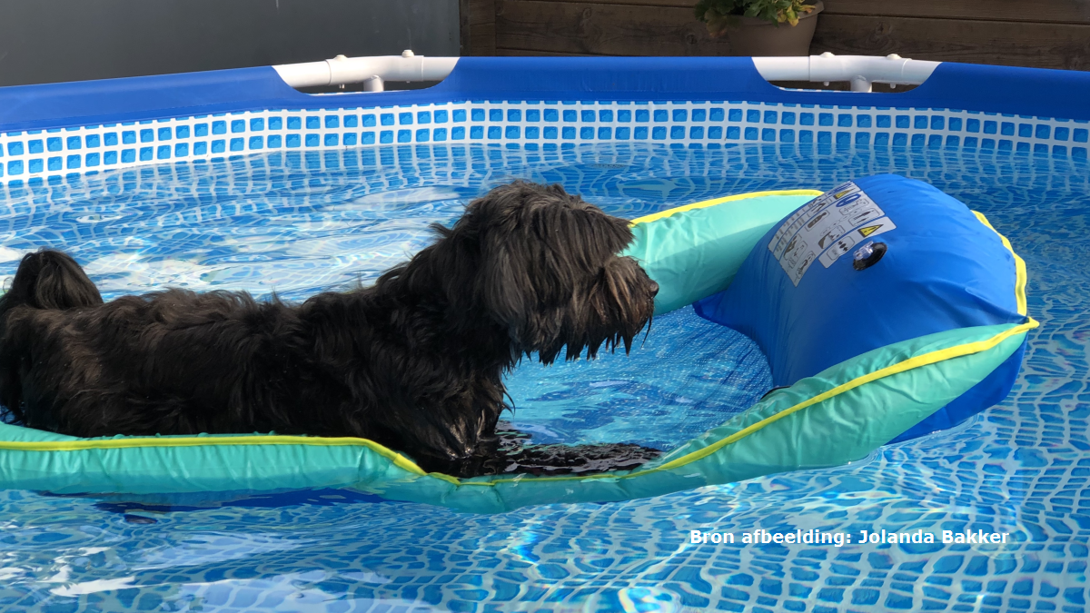Datumrecord De Bilt: het is officieel de warmste 29 juli ooit