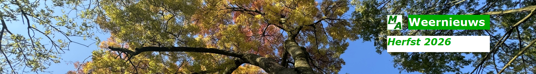 Meteo Alblasserdam header banner herfst 2026